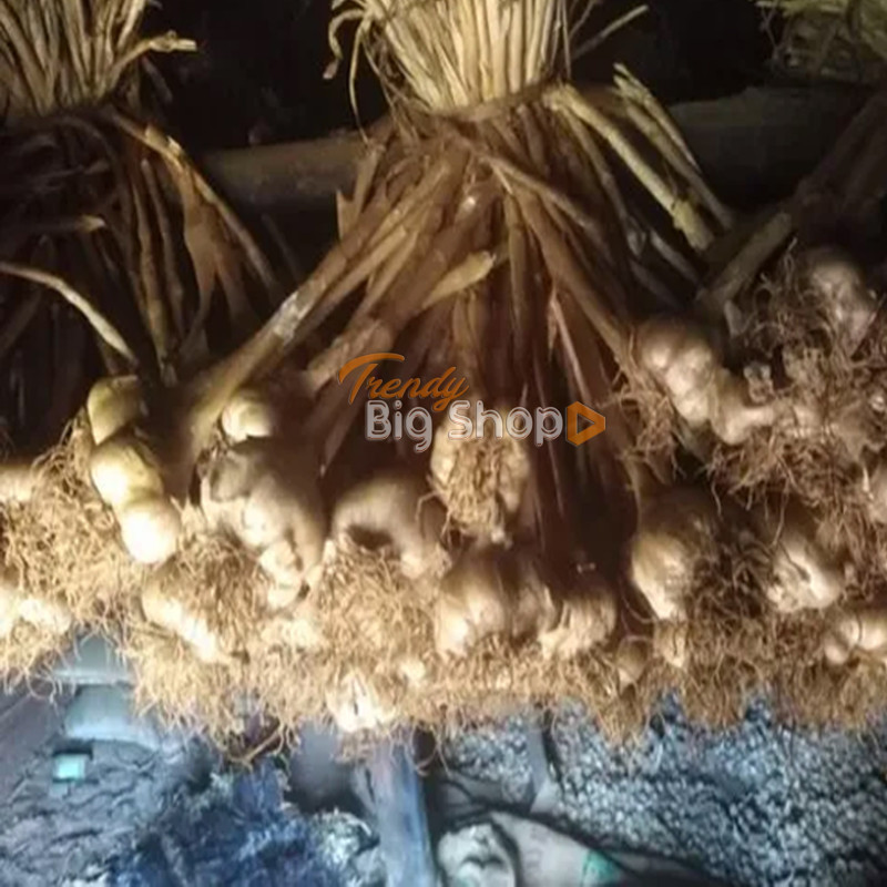 Smoked kodaikanal Hill Garlic & Mountain, Malai Poondu / Garlic, (3 to 4 Kg) Online Kodai shop