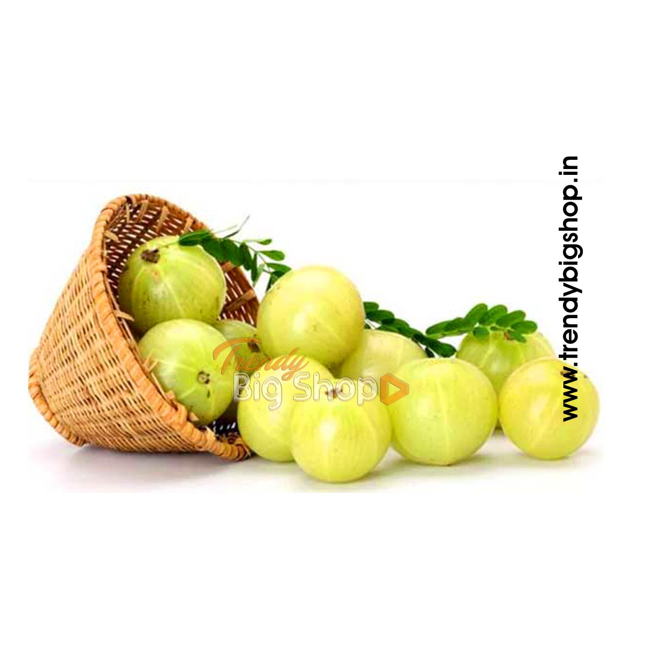 Gooseberries / Usirikaya / Amla / Nellikai _ 500gm, Fresh Organic Fruit, Kodaikanal Fresh Hills Farm Fruits Online in Kodai