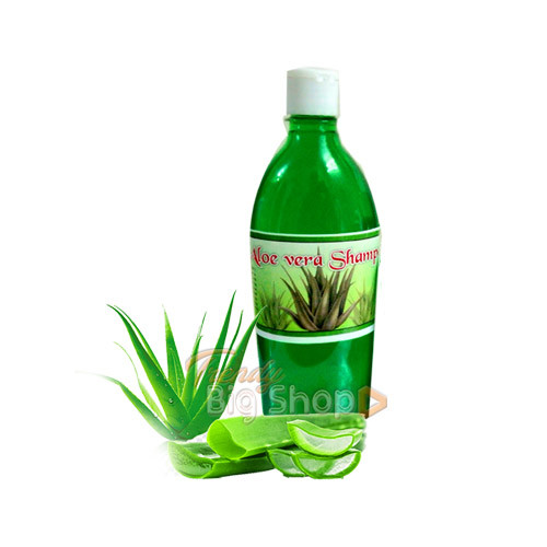 Aloevera Shampoo 500ml, Ayurvedic Herbs Hair Care Essential, Pure Aloe Vera Shampoo, Online Kodaikanal