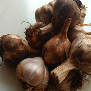 Kodai Organic Garlic