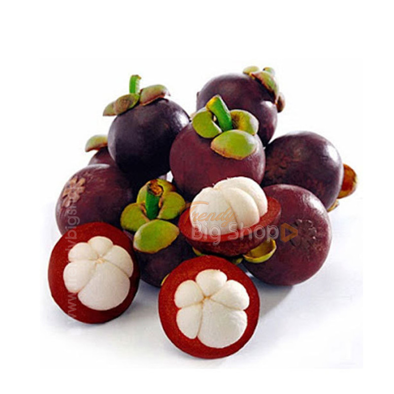 Mangosteen Fresh fruits 500gm, Hill Organic Produce, Kodaikanal Fresh Farm Online